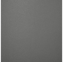 Ghiveci Elho Vibia Campana plastic Ø 40 cm H 33,4 cm antracit