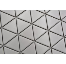 Mozaic piscină ceramic CG TR 41 alb mat 25,2x29,1 cm