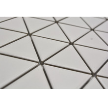 Mozaic piscină ceramic CG TR 41 alb mat 25,2x29,1 cm