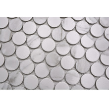 Mozaic piscină ceramic CRG alb mat 31,2x33 cm