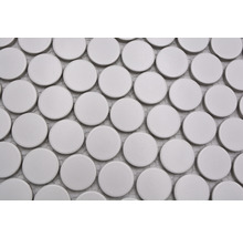 Mozaic piscină ceramic 11G alb mat 31,2x33 cm