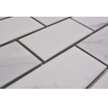 Mozaic piscină ceramic CIM BR CR alb mat 29,55x29,1 cm