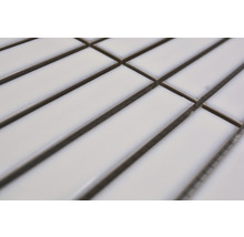 Mozaic piscină ceramic CG ST 230 alb 29,6x30 cm-thumb-2