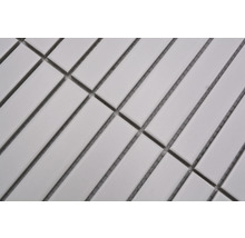Mozaic piscină ceramic CG ST 220 alb mat 29,6x30 cm