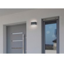 Fațadă modernă a casei cu ușă de intrare, fereastră și corp de iluminat exterior dreptunghiular