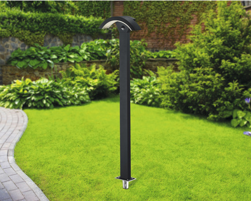 Grădină cu lampă de exterior