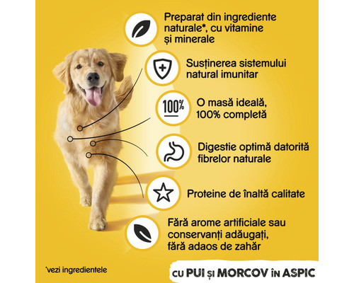 Ilustrație cu informații despre produs și golden retriever pentru hrana câinilor