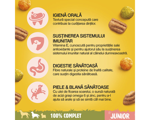 Beneficiile hranei pentru câini juniori: Igienă orală, susținerea sistemului imunitar, digestie sănătoasă, piele și blană sănătoase.
