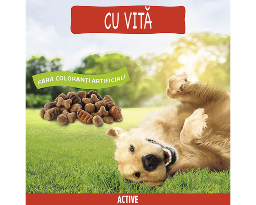 Hrană pentru câini cu carne de vită pentru câini activi, fără coloranți artificiali