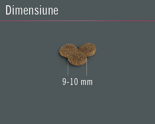 Bucăți de hrană cu o dimensiune de 9 - 10 milimetri