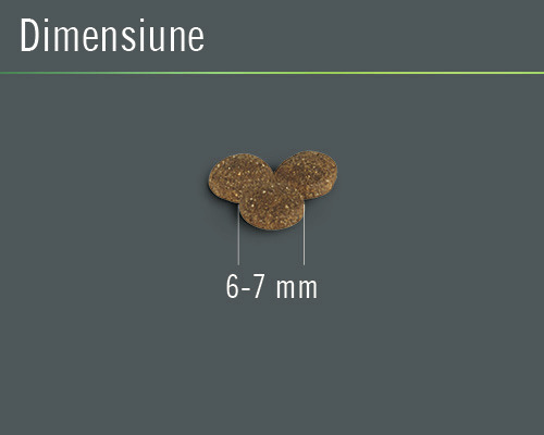 Crochete de hrană pentru câini cu o dimensiune de 6 până la 7 milimetri