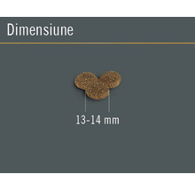 Hrană uscată pentru câini FINEVO Senior cu pui 15 kg-thumb-2 Hrană uscată pentru câini FINEVO Senior cu pui 15 kg-thumb-2