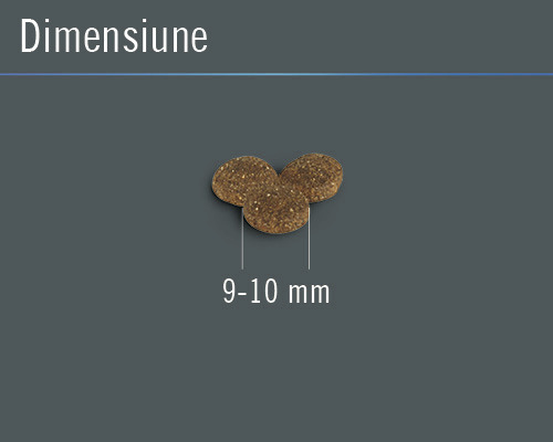 Dimensiunea hranei uscate este de 9 până la 10 milimetri