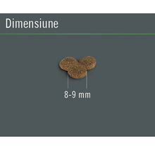 Hrana uscata pentru pisici FINEVO Adult cu pui 0,4 kg-thumb-1 Hrana uscata pentru pisici FINEVO Adult cu pui 0,4 kg-thumb-1