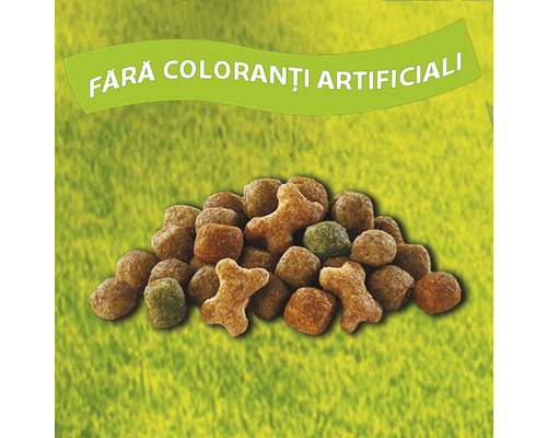 Hrană pentru câini fără coloranți artificiali