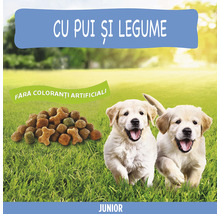 Hrană uscată pentru câini PURINA Friskies Junior cu pui și legume 15 kg-thumb-3