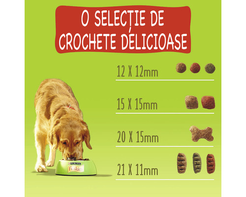 Ilustrație cu hrană uscată pentru câini de diferite dimensiuni, cu un câine mâncând dintr-un castron