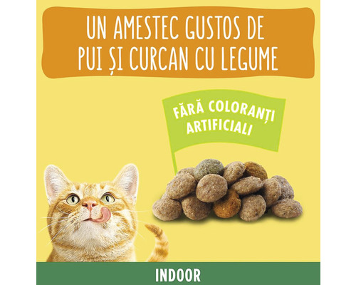 Hrană pentru pisici cu carne de pasăre și legume pentru pisici de interior