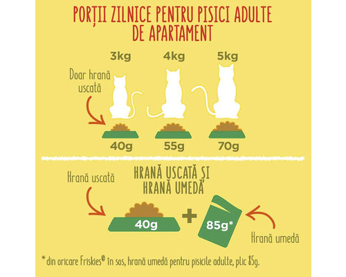 Porții zilnice pentru pisici adulte de apartament: Recomandări de hrănire pentru hrană uscată și hrană umedă