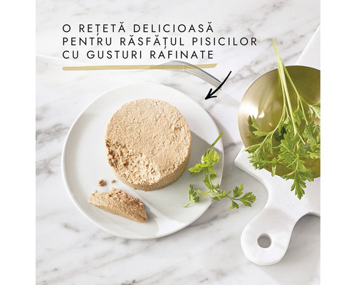 Pateu pentru pisici pe o farfurie cu pătrunjel.