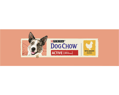 Purina Dog Chow Active hrană pentru câini adulți cu pui