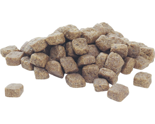 Grămadă de hrană uscată pentru câini