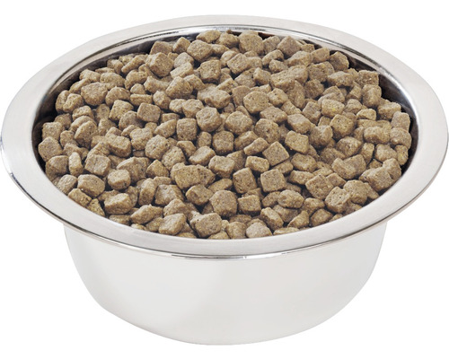 Bol din oțel inoxidabil umplut cu hrană pentru câini