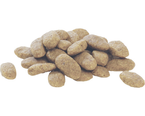 Grămadă de hrană uscată pentru animale de companie