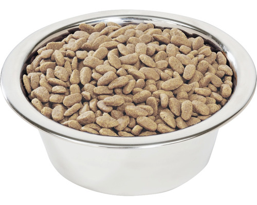 Bol din oțel inoxidabil umplut cu hrană uscată pentru câini