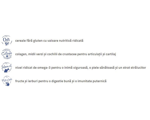 Cereale fără gluten cu valoare nutritivă ridicată, colagen pentru articulații și cartilaje, omega-3 pentru inimă și piele, fructe și ierburi pentru digestie și imunitate.