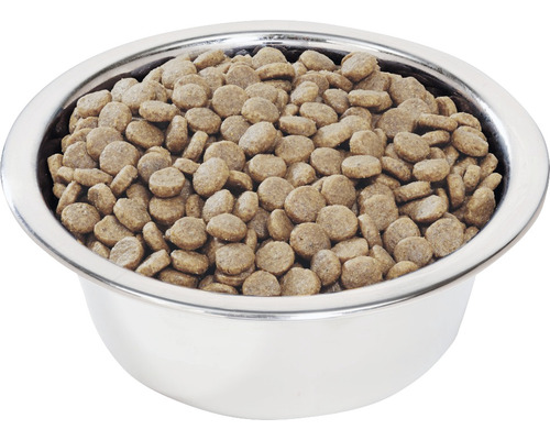Bol din inox umplut cu hrană uscată pentru câini