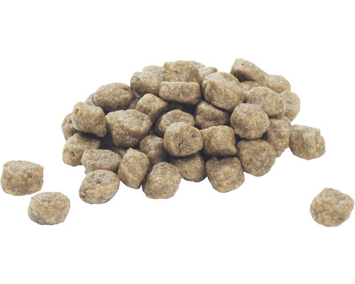 Grămadă de hrană uscată pentru câini sau pisici