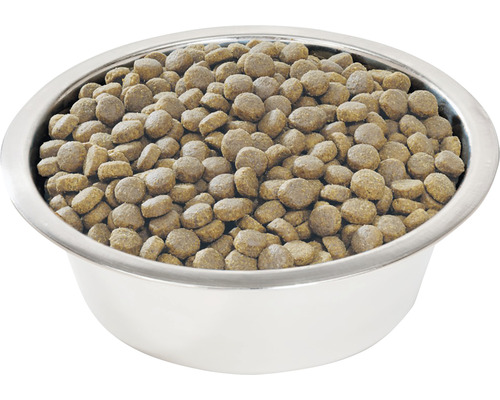 Bol din oțel inoxidabil umplut cu hrană uscată pentru câini