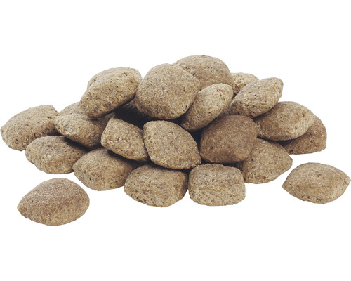 Grămadă de hrană uscată pentru câini