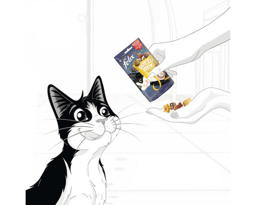 Ilustrație cu o pisică care primește gustări pentru pisici dintr-un pachet Felix Party Mix