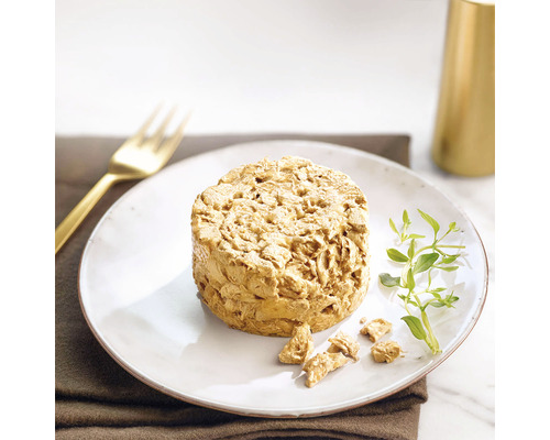 Hrană umedă pentru câini pe o farfurie cu o lingură aurie