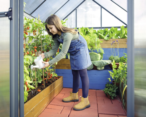 O adolescentă udă plante de tomate într-o seră cu straturi de salată și ierburi.