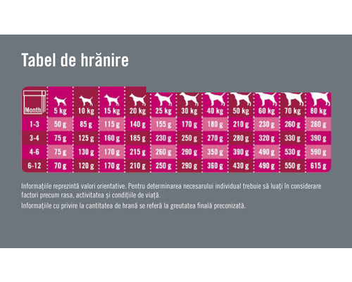 Tabel de hrănire pentru câini cu indicații de greutate și recomandări de hrănire în funcție de vârstă
