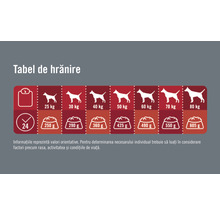 Hrană uscată pentru câini FINEVO Adult L cu pui 3 kg-thumb-1 Hrană uscată pentru câini FINEVO Adult L cu pui 3 kg-thumb-1