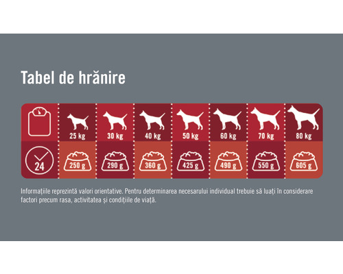 Tabel de hrănire pentru câini