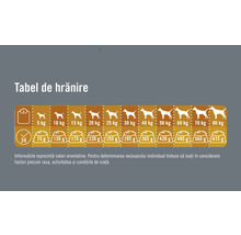 Hrană uscată pentru câini FINEVO Senior cu pui 15 kg-thumb-1 Hrană uscată pentru câini FINEVO Senior cu pui 15 kg-thumb-1