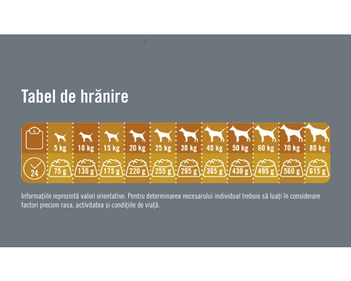 Tabel de hrănire pentru câini