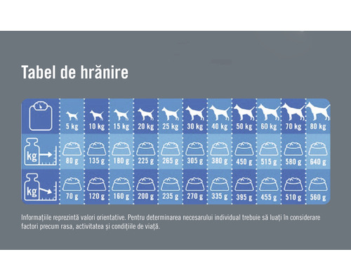 Tabel de hrănire pentru câini în funcție de greutate în kilograme