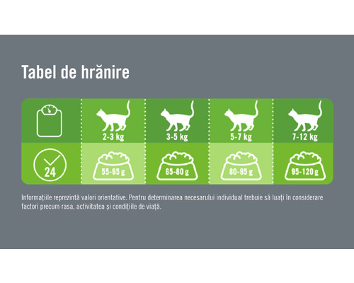 Tabel de hrănire pentru pisici cu cantitățile recomandate în funcție de greutate