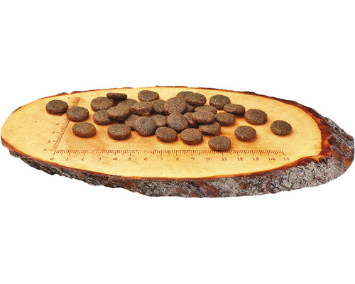 Hrană pentru câini pe scândură de lemn cu scală de măsurare