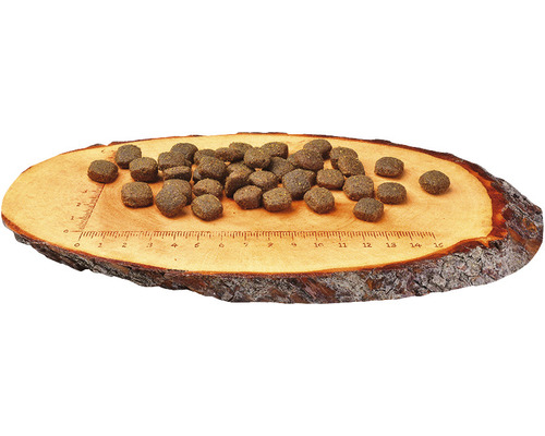 Mâncare pentru câini pe o scândură de lemn cu scală de măsurare