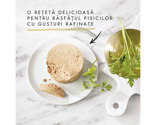 Pateu pentru pisici pe o farfurie cu ierburi