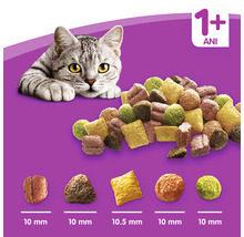Hrană uscată pentru pisici Whiskas cu pui și ficat 14 kg-thumb-3