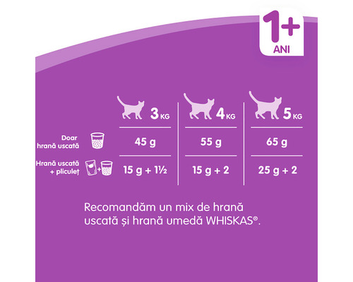 Recomandare de hrănire pentru pisici de peste un an