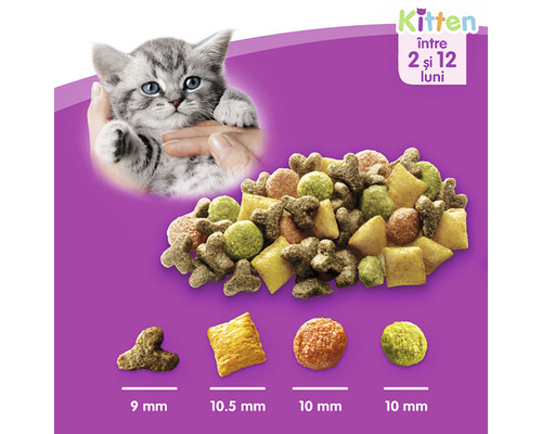 Hrană uscată pentru pisoi cu vârste cuprinse între 2 și 12 luni.